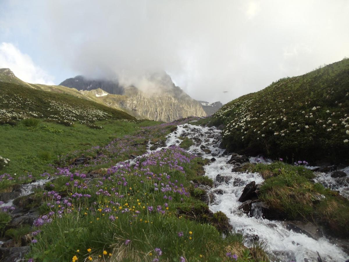 Tsknari Oda Oni Esterno foto