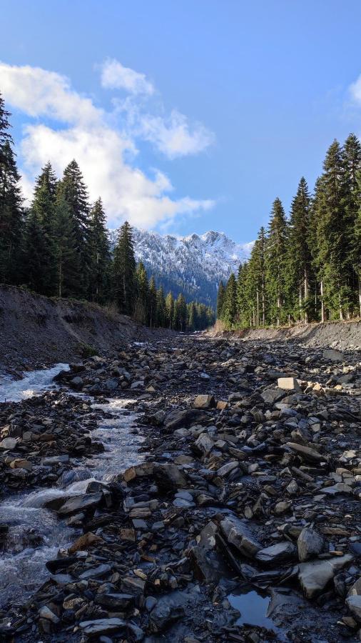 Tsknari Oda Oni Esterno foto