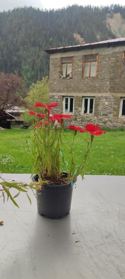 Tsknari Oda Oni Esterno foto